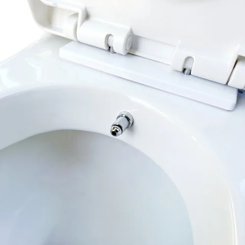 توالت فرنگی ایساتیس مدل آزالیا بیده دار